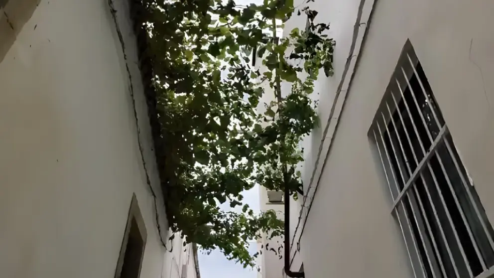 Calle Cadenas en Jerez