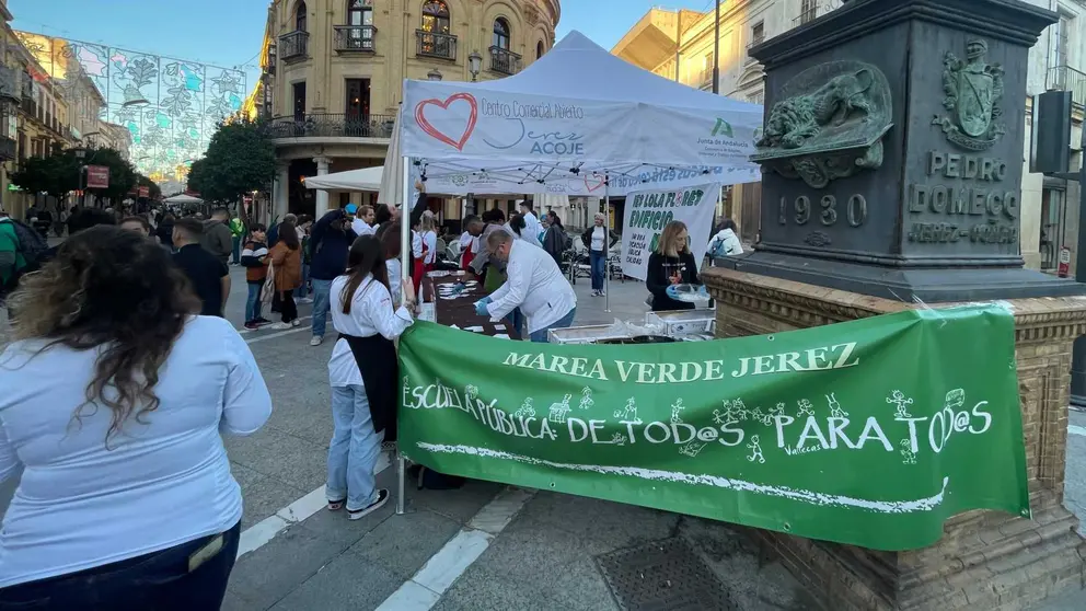 Asistencia a la manifestaci&oacute;n por parte del IES Lola Flores