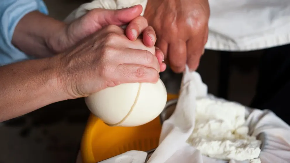 Elaboraci&oacute;n de queso de cabra tradicional