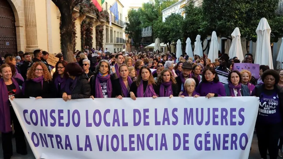 Manifestaci&oacute;n llevada a cabo este 25 de Noviembre por las calles de la ciudad