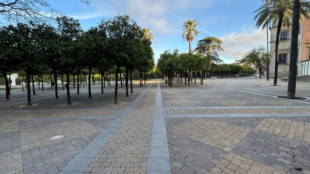 Alameda Vieja | Cristo Garc&iacute;a