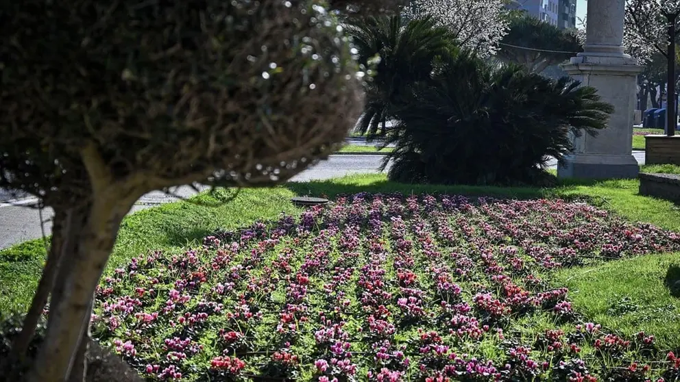 Los parques y jardines de C&aacute;diz recibir&aacute;n una mayor inversi&oacute;n para su mantenimiento (1)