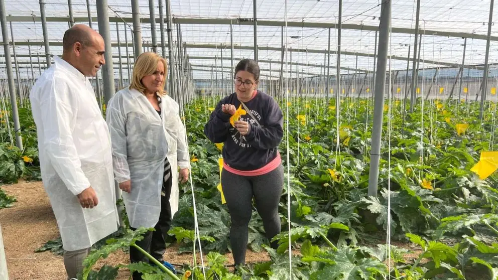 La Junta lanza una l&iacute;nea de subvenciones para j&oacute;venes agricultores