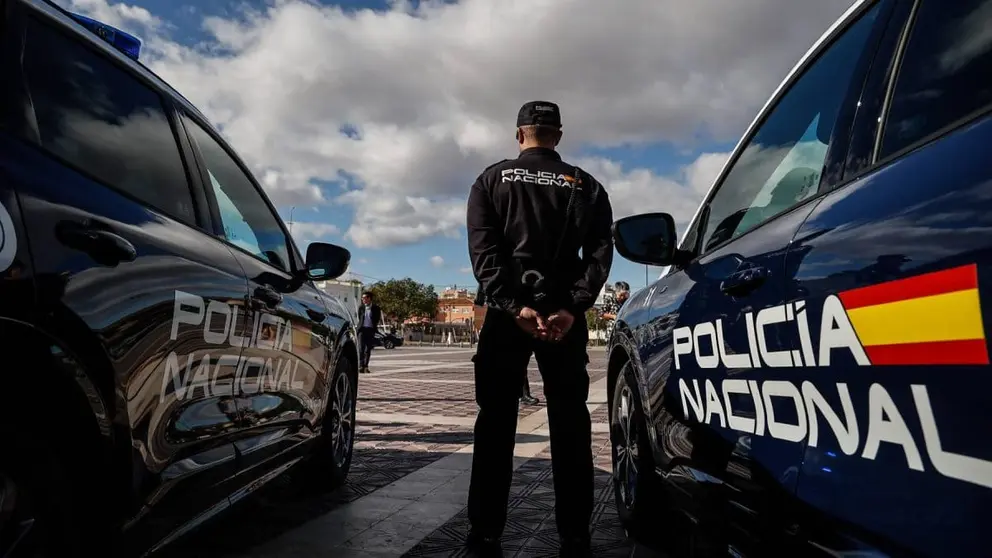 La Polic&iacute;a Nacional ha detenido al presunto autor de los hechos