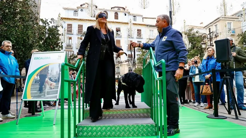 Marifr&aacute;n Carazo es ayudada por un perro gu&iacute;a