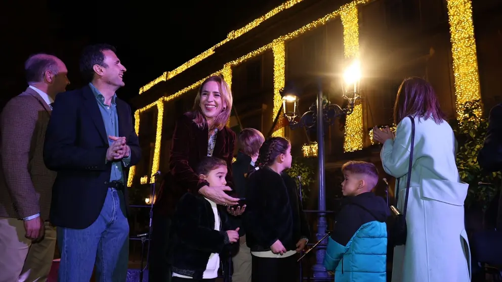 Encendido del alumbrado navide&ntilde;o de la Diputaci&oacute;n de C&aacute;diz
