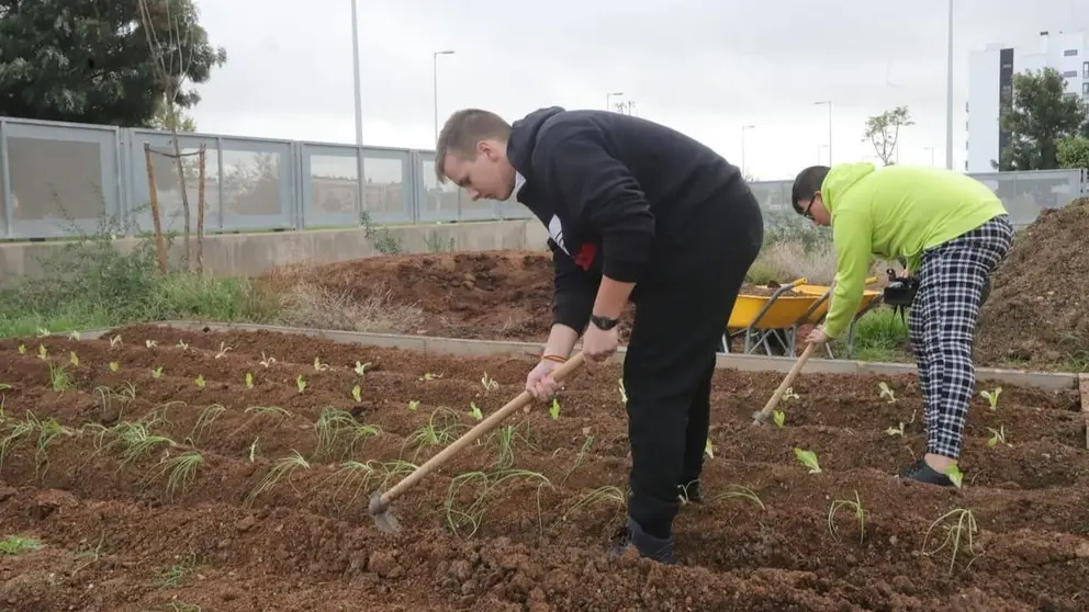 Andaluc&iacute;a impulsa el proyecto 'Aulas verdes abiertas'