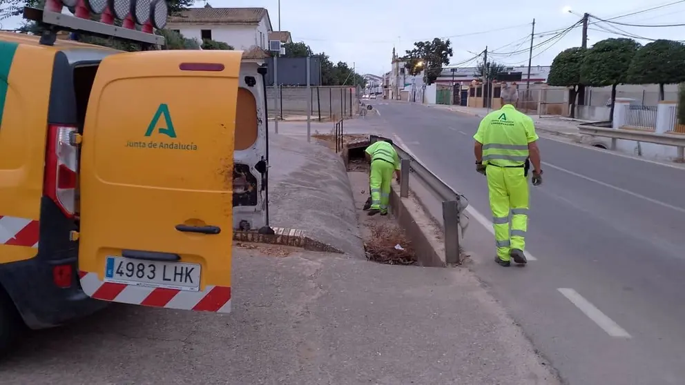 Trabajos de conservaci&oacute;n en carreteras de Andaluc&iacute;a