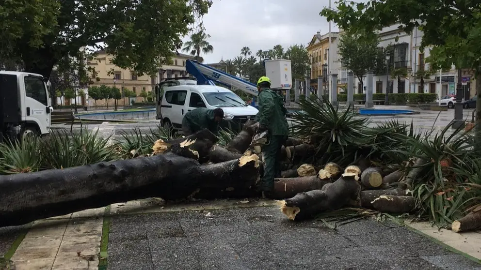 El viento ser&aacute; el gran protagonista en Jerez este lunes 16 de diciembre