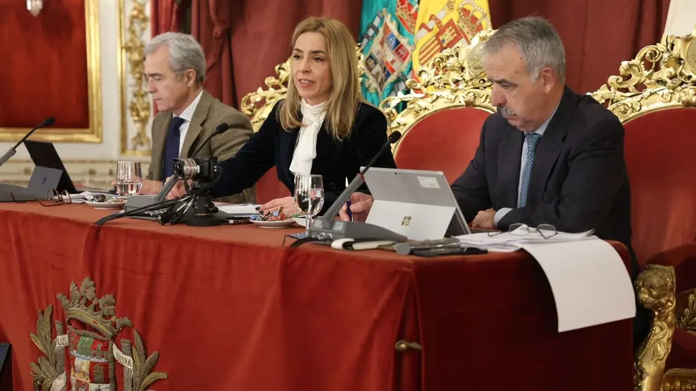 Almudena Mart&iacute;nez ha presidido el pleno de aprobaci&oacute;n de los presupuestos de la Diputaci&oacute;n de C&aacute;diz | Cristo Garc&iacute;a