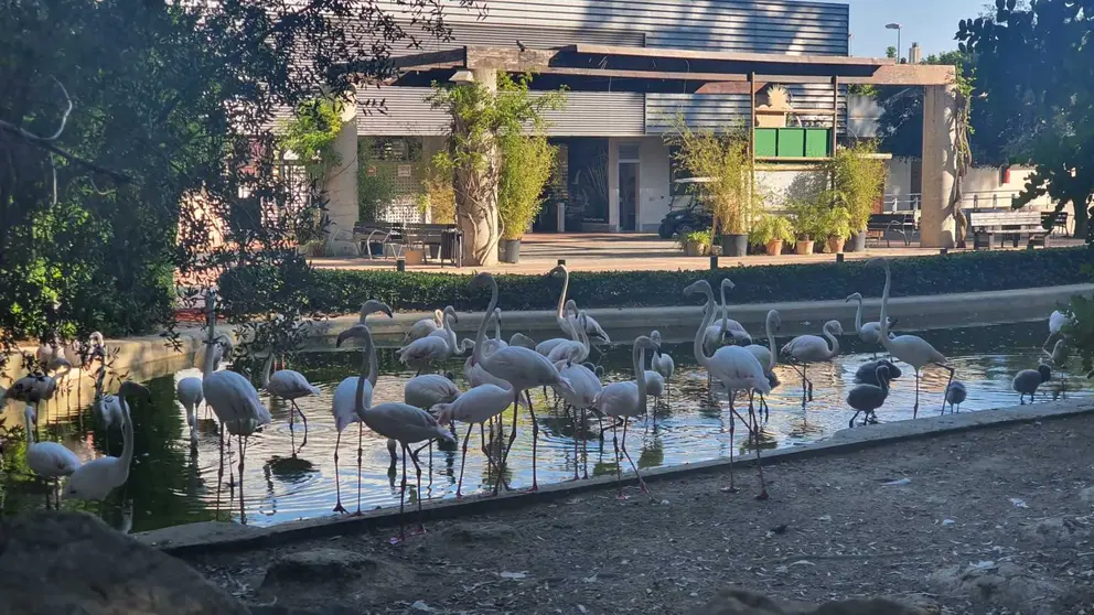 Centro para la Conservaci&oacute;n de la Biodiversidad Zoobot&aacute;nico Jerez
