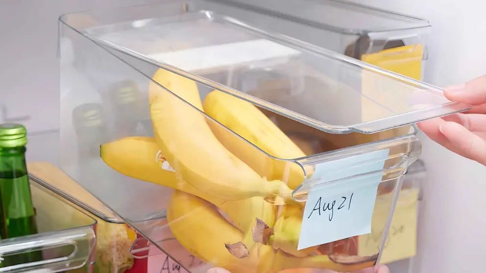 Caja para frigor&iacute;fico KLIPPKAKTUS de Ikea