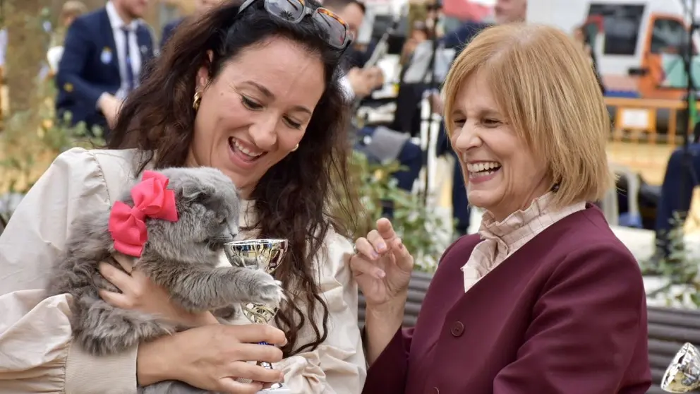 Festividad de San Ant&oacute;n en Jerez 2025 | Noelia Herrera