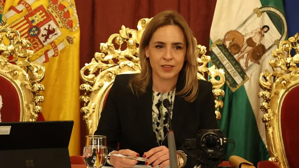 Almudena Mart&iacute;nez ha presidido la sesi&oacute;n plenaria | Cristo Garc&iacute;a