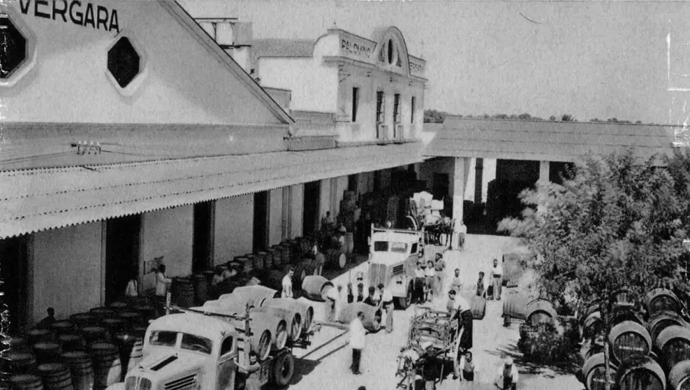 Bodegas Palomino y Vergara