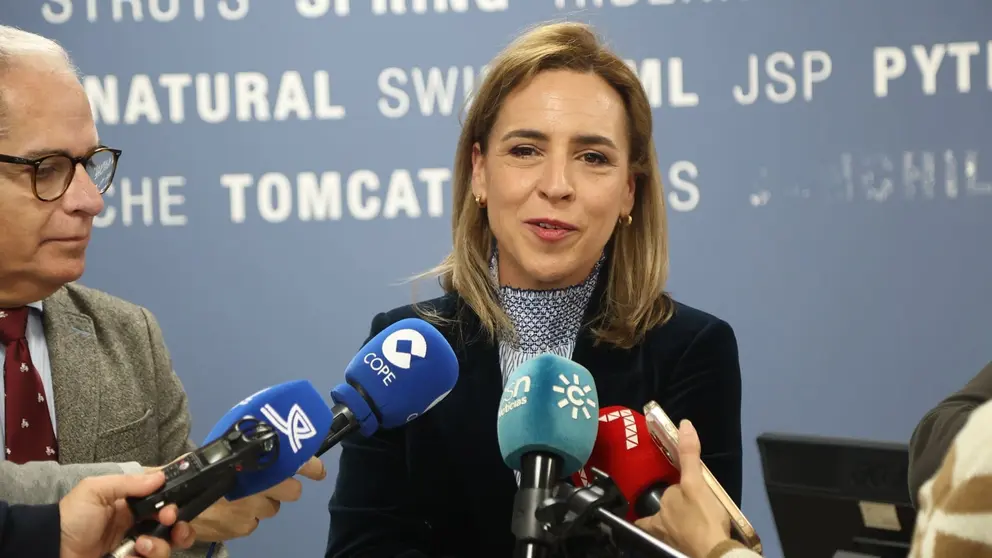 Almudena Mart&iacute;nez, durante la inauguraci&oacute;n del Centro de Proceso de Datos de la Diputaci&oacute;n de C&aacute;diz | Cristo Garc&iacute;a