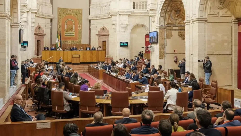 Parlamento de Andaluc&iacute;a