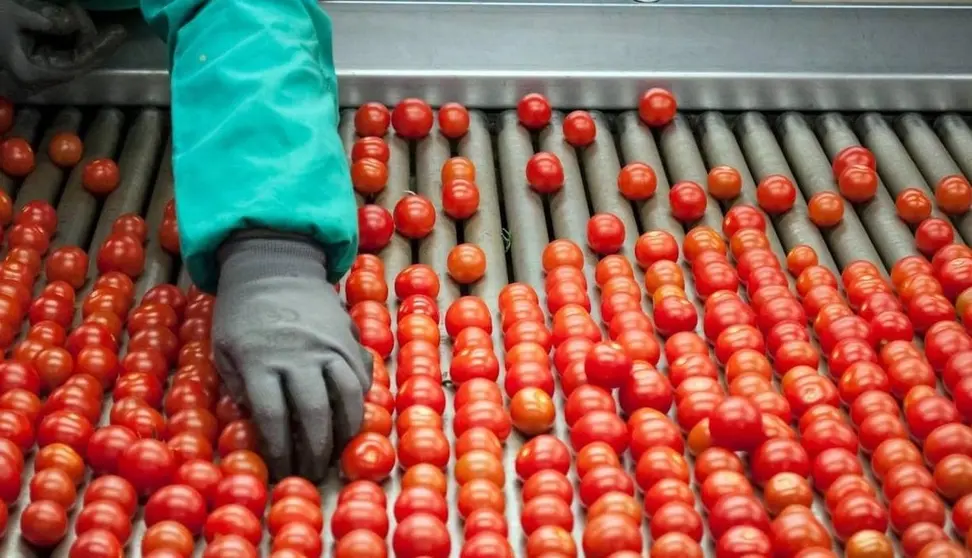 Almer&iacute;a ha vuelto a alcanzar grandes cifras de exportaciones