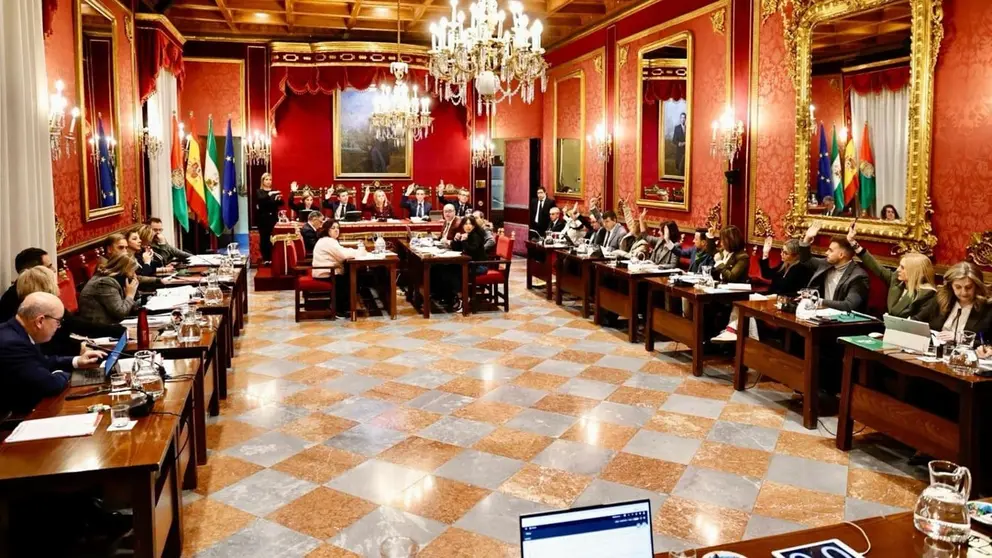 Imagen de la celebraci&oacute;n del pleno en el Ayuntamiento de Granada