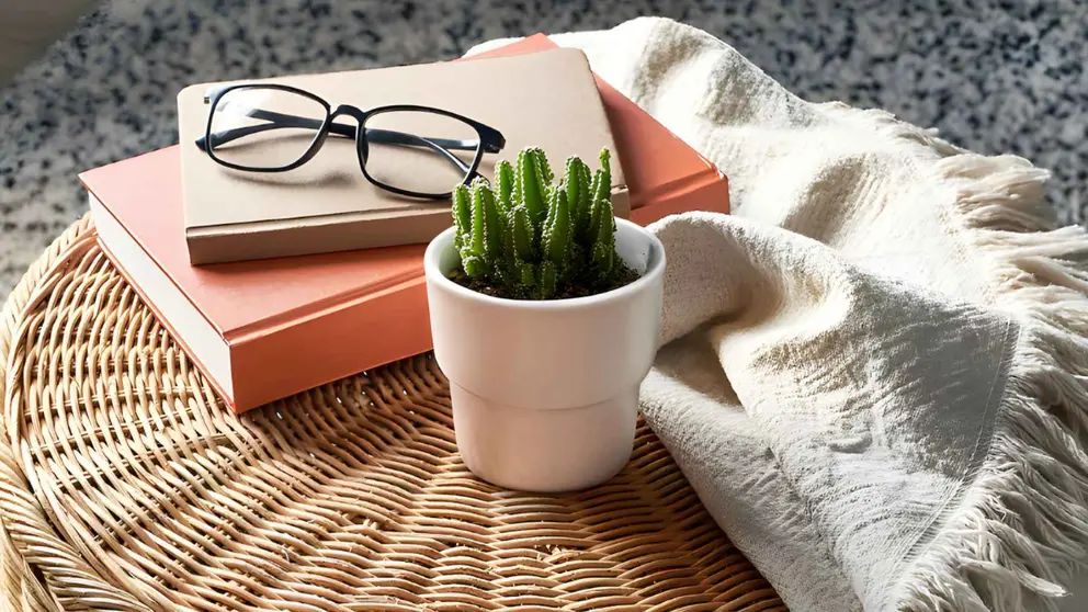 Puf con almacenaje TOLKNING de Ikea