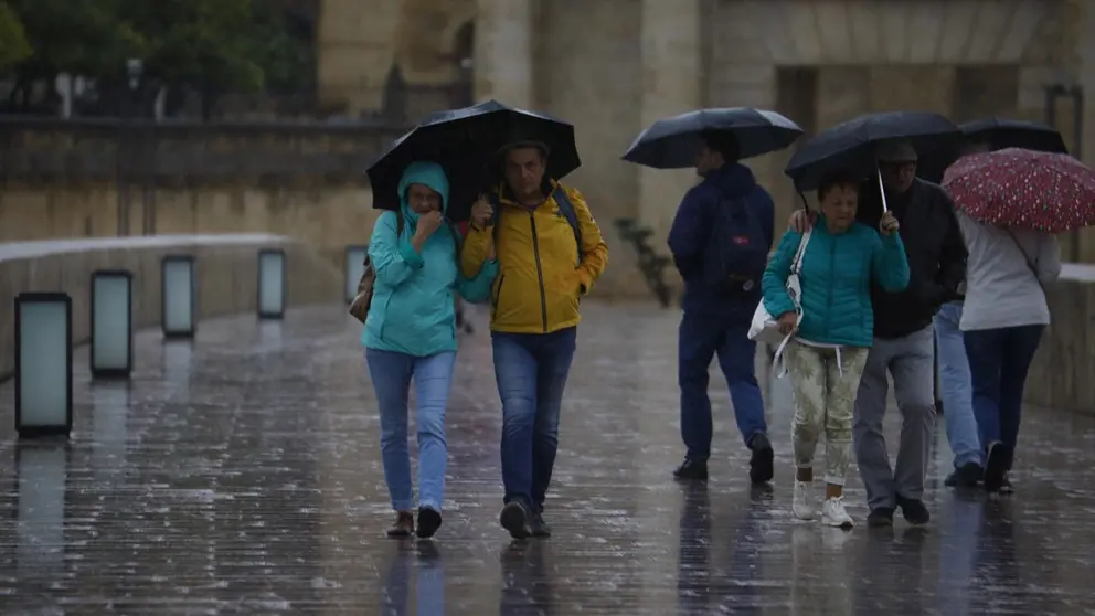 Gente caminando bajo la lluvia