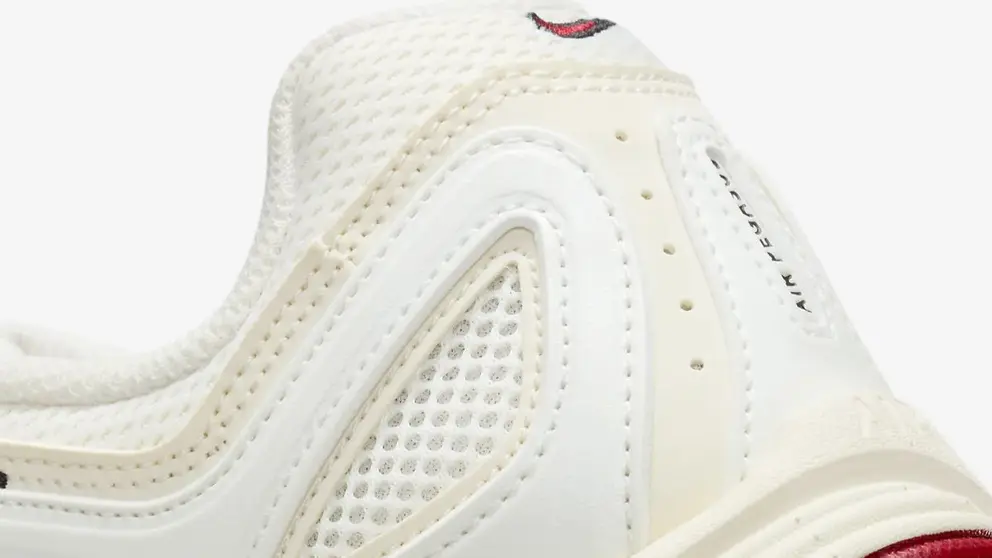 Nike Air Pegasus 2005