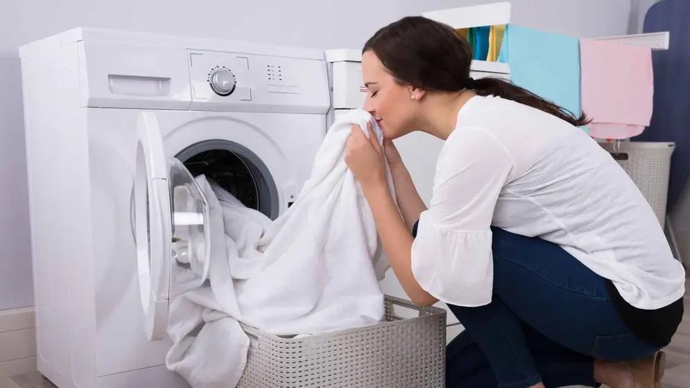 Detergente ropa blanca y de color Bosque Verde en c&aacute;psulas para lavadora de Mercadona