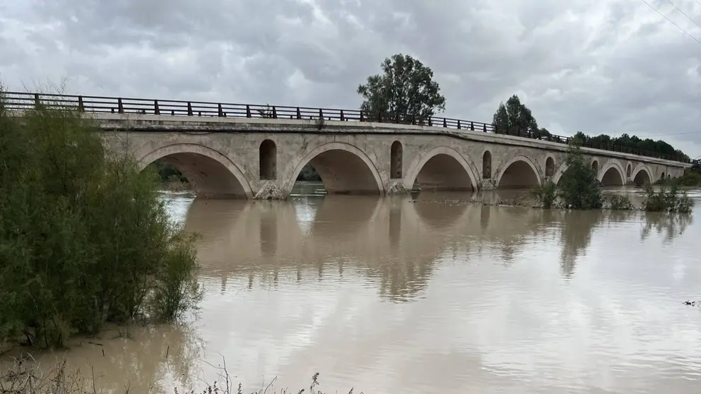 El r&iacute;o Guadalete a su paso por el Puente de la Cartuja