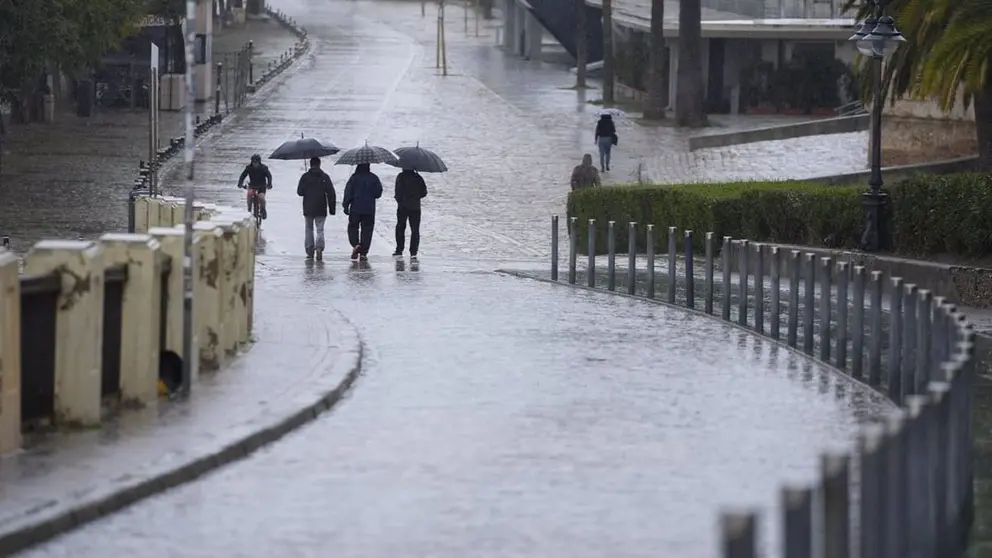 Varias personas se protegen de la lluvia con un paraguas en Sevilla