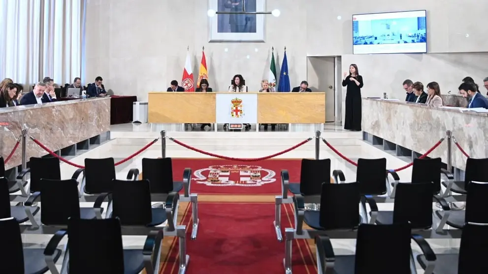 Imagen del pleno celebrado en el Ayuntamiento de Almer&iacute;a