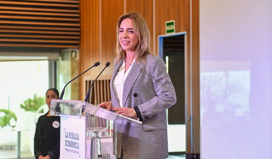 Almudena Mart&iacute;nez, presidenta de la Diputaci&oacute;n de C&aacute;diz (1)