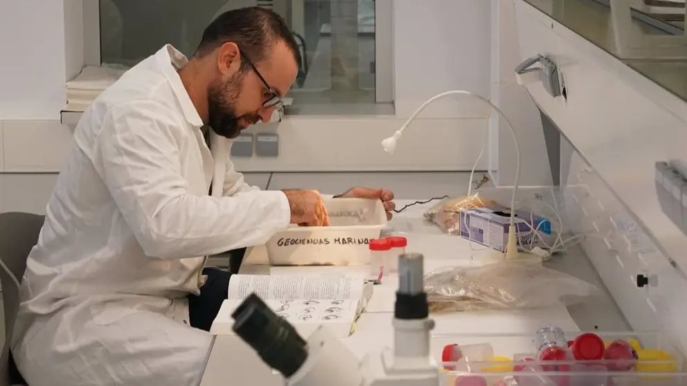 Cient&iacute;ficos trabajando en los laboratorios de la nueva sede del Centro Oceanogr&aacute;fico, a 23 de octubre de 2024 en M&aacute;laga