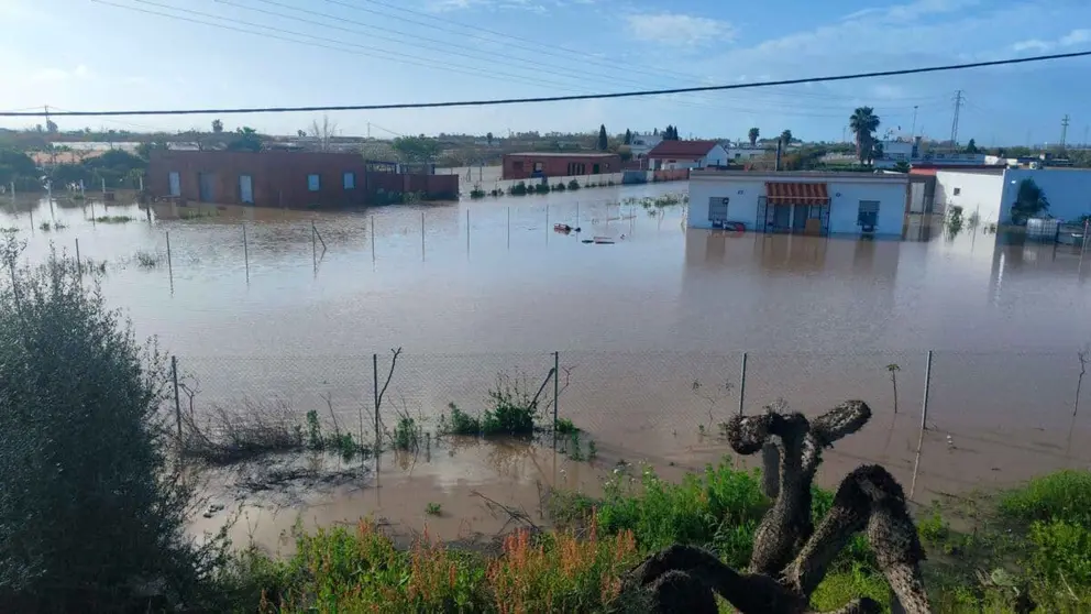 El campo andaluz se ha visto muy afectado por las &uacute;ltimas lluvias