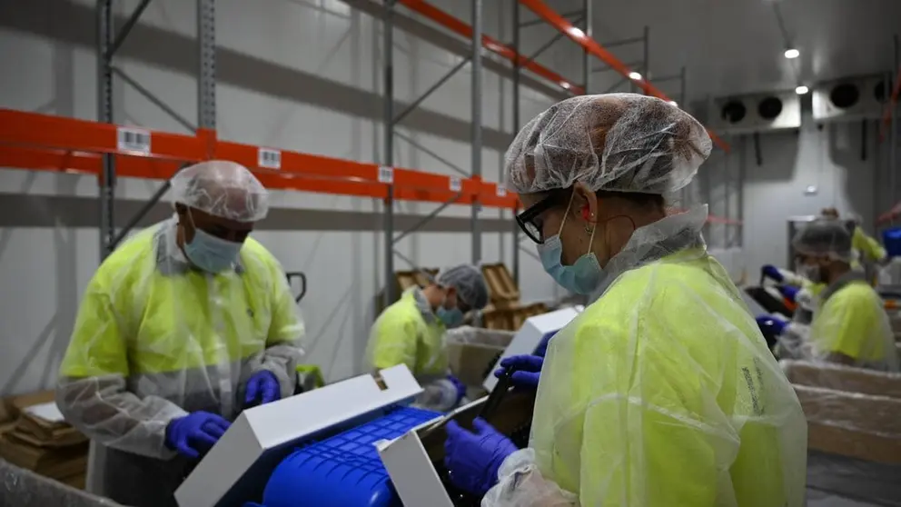 Personas trabajando en una empresa en Andaluc&iacute;a (1)