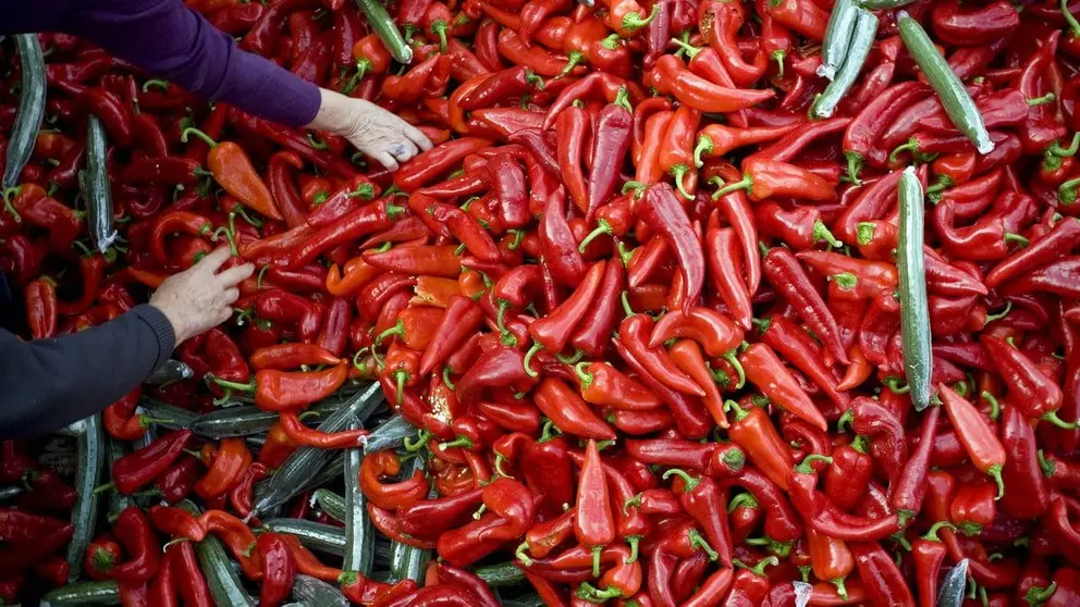 Almer&iacute;a, un referente nacional en exportaciones