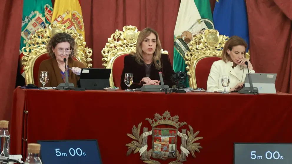 La Diputaci&oacute;n de C&aacute;diz moviliza m&aacute;s de 23,5 millones para dinamizar la econom&iacute;a provincial | Cristo Garc&iacute;a