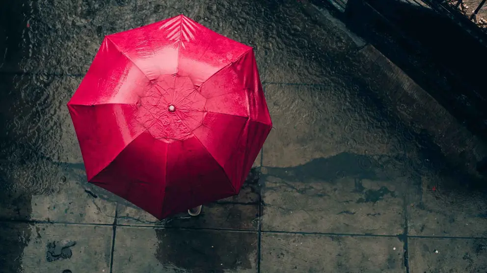 Paraguas bajo la lluvia