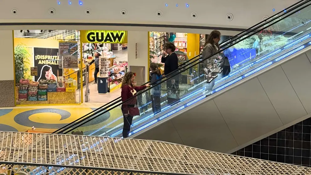 Centro comercial &Aacute;rea Sur (2)