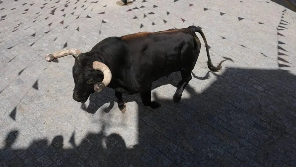 La provincia de C&aacute;diz volver&aacute; a celebrar sus tradicionales Toros del Aleluya