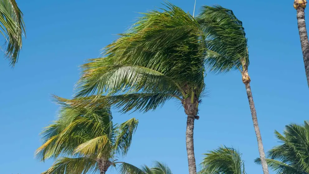 Fuertes rachas de viento