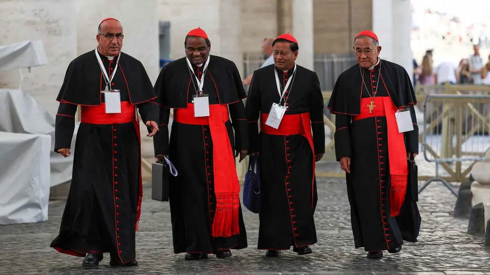 Cardenales encargados de elegir en el conclave al nuevo Papa | RTVE