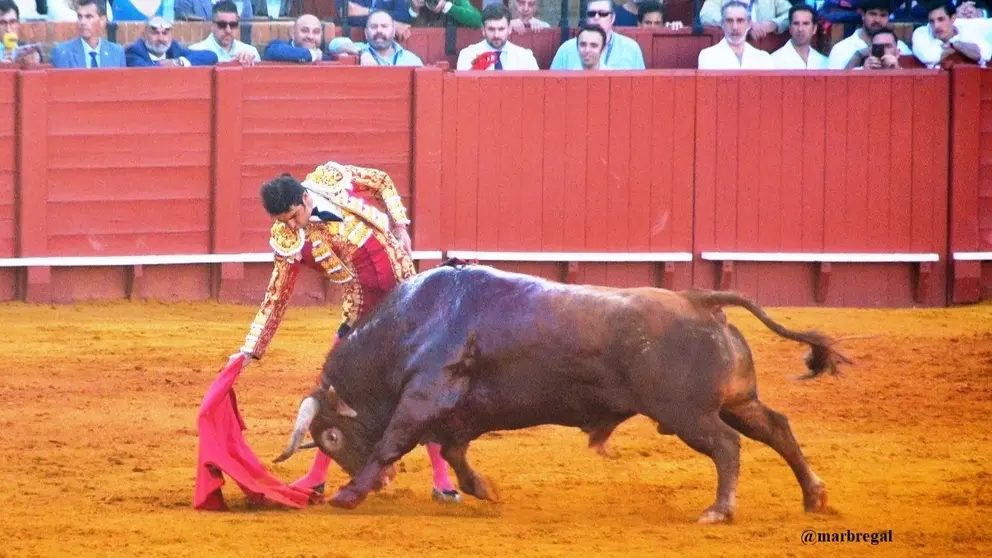 Perera y An&aacute;rquico I Bre&ntilde;a