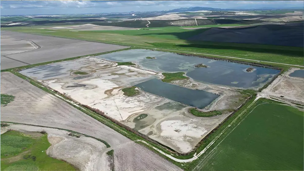 Haza de la Torre, en Jerez de la Frontera