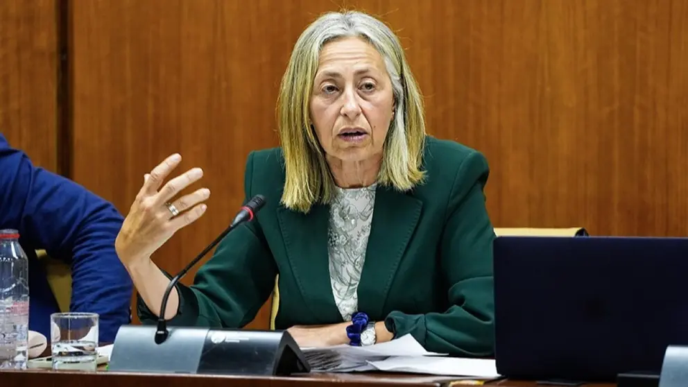 La consejera Roc&iacute;o Hern&aacute;ndez durante su intervenci&oacute;n en la Comisi&oacute;n de Salud y Consumo
