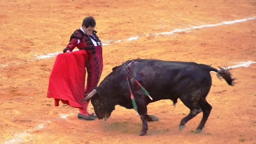 Ignacio Candelas en la novillada de Jerez I Marciano Bre&ntilde;a