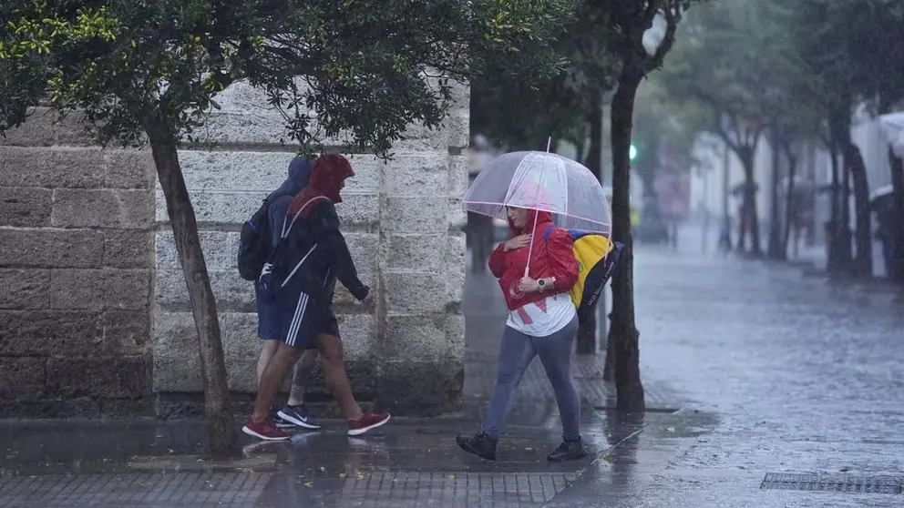 La tormenta y el granizo irrumpen por sorpresa en Ja&eacute;n (1)
