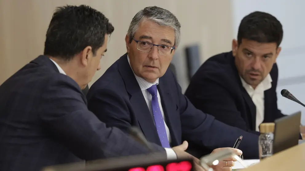 El presidente de la Diputaci&oacute;n de M&aacute;laga, Francisco Salado