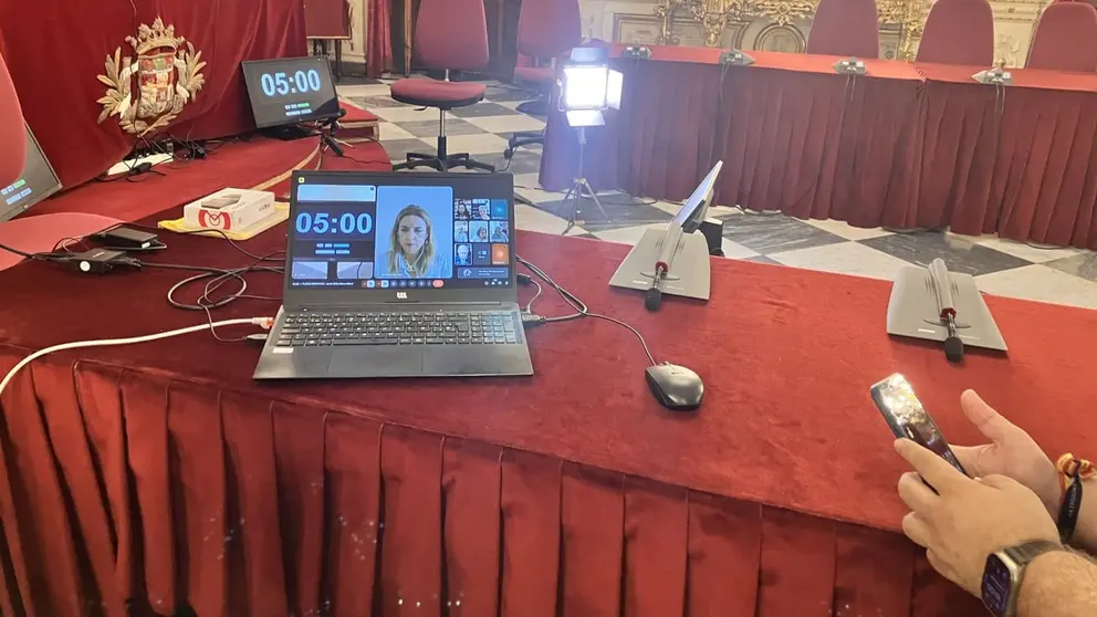 El Pleno se ha celebrado de forma telem&aacute;tica para facilitar la asistencia de los diputados