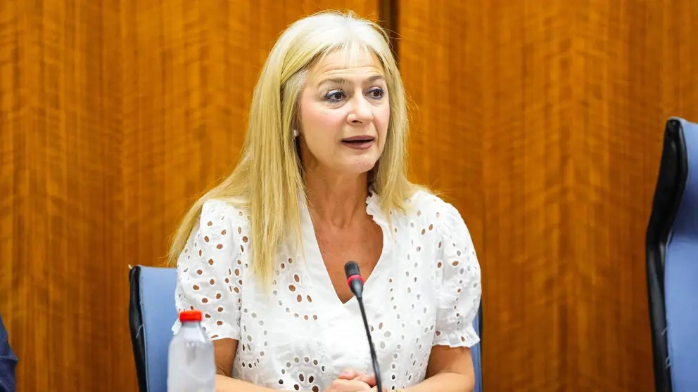 La Consejer&iacute;a de Cultura subvencionar&aacute; 14 proyectos relacionados con el flamenco