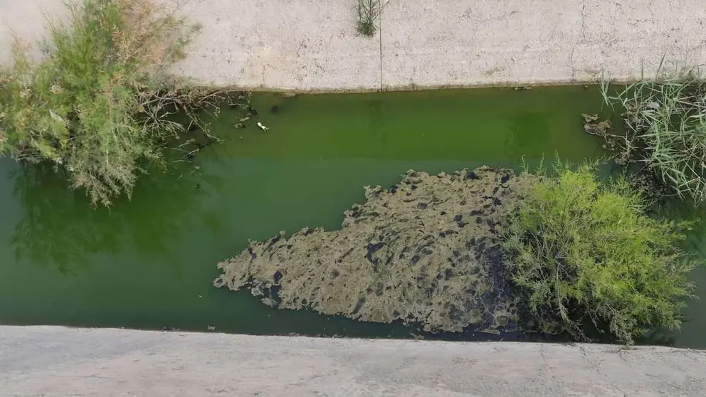 Aliviadero de la Laguna de Torrox